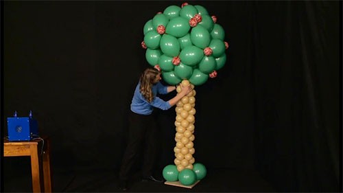 balloon decoration tree tutorial