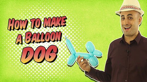 How To Make A Balloon Dog Balloon Art Online Online Balloon Courses Tutorials,Green Anole Pet